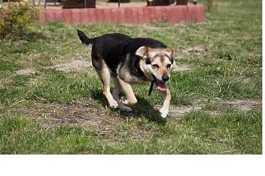 Podaruj mi swoje serduszko,  Kundelki cała Polska