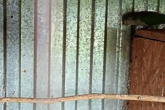 Sprzedam Mnichy, Małopolskie, Myślenice