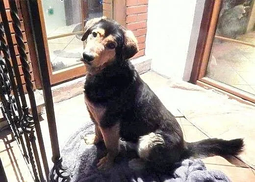 Winston poleca sie do adopcji! , Kundelki cała Po