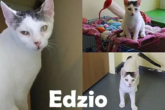 Smutny Edzio, Łódzkie, Łódź