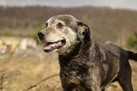 Kuba - Już nie pamiętam jak jest poza schroniskiem