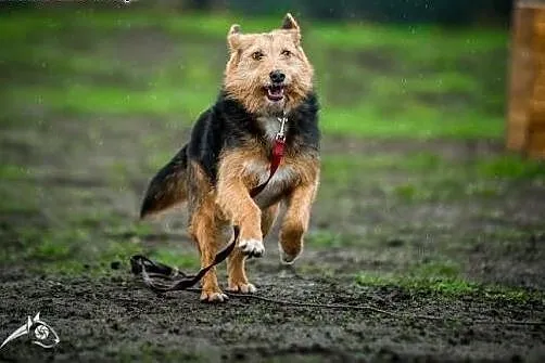 Mini MELA czeka na Przyjaciela! Pokochaj prawie te