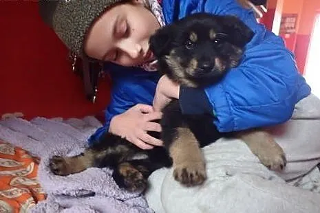 Kama - czeka na dom sunia 7 tygodni,  łódzkie Łódź