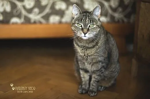 Co robiłeś 2 lata temu? Ziutka już wtedy czekała n