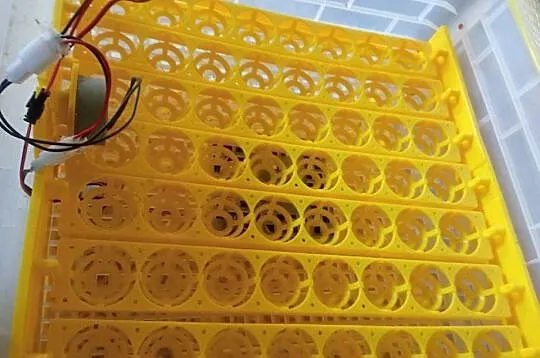 Inkubator wylęgarka na ptaki automatyczny na 116 jajek, Lubelskie, Biszcza