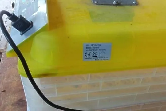 Inkubator wylęgarka na ptaki automatyczny na 116 jajek, Lubelskie, Biszcza