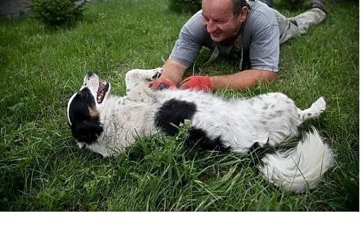 Zosia podaruj jej domek,  wielkopolskie Poznań