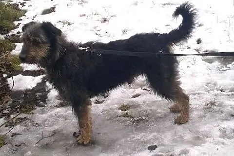 Kto pokocha Tobiego ?,  małopolskie Kraków