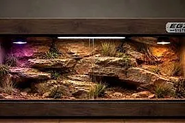 Terrarium pustynne dla agamy brodatej żółwia greckiego