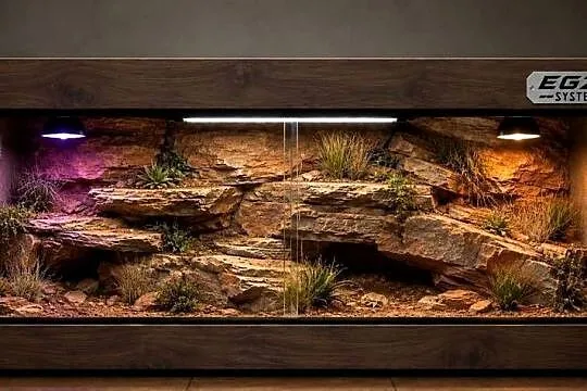 Terrarium pustynne dla agamy brodatej żółwia greckiego