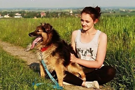 Nestor młody, kochany, piękny psiak!,  podkarpacki