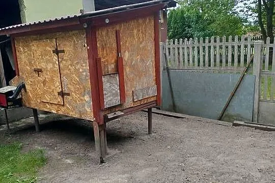 Kurnik