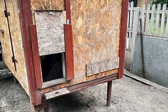 Kurnik, Świętokrzyskie, Skarżysko-Kamienna