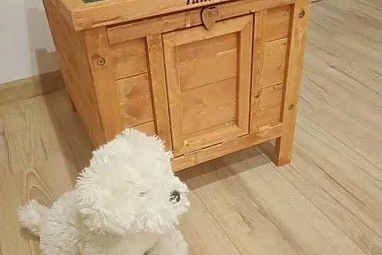 Domek, budka, klatka dla królika, kota małego pieska, innego zwierzaka