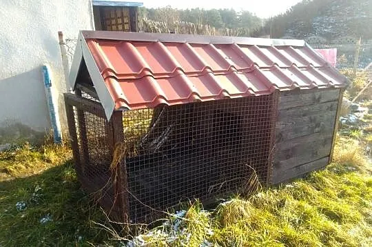 nowa buda dla psa z kojcem zamykana ocieplona kojec, Śląskie, Dąbrowa Górnicza