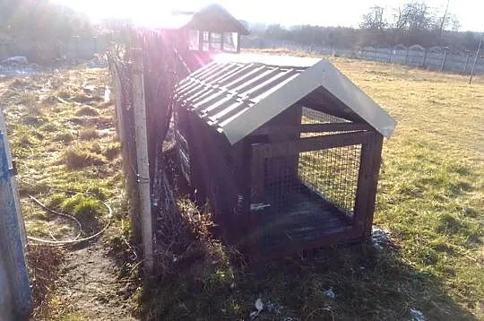 nowa buda dla psa z kojcem zamykana ocieplona kojec, Śląskie, Dąbrowa Górnicza