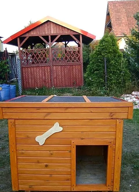 Buda dla psa XXL, Opolskie, Grodziec