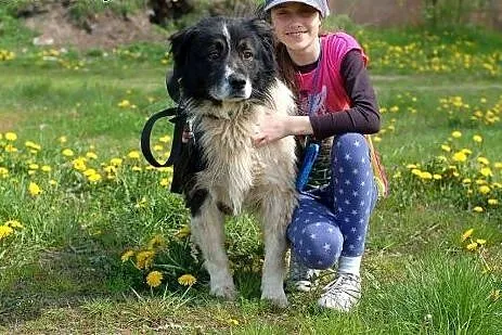 Horacy poleca się do adopcji. Przygarnij go.,  łód