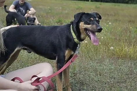 Lanti ma rok, jest bezdomny i niechciany, czeka na