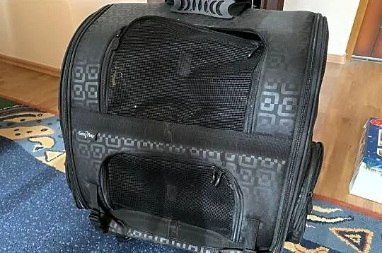 Plecka dla kota psa zwierzaka transportowy transporter, Podkarpackie, Rzeszów