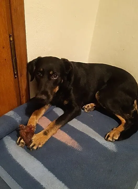 Dobre serce mam – komu je dam?? LUCY, Mazowieckie, Warszawa