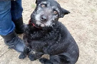 Te oczy mówią wszystko...Henry tak długo czeka :( 