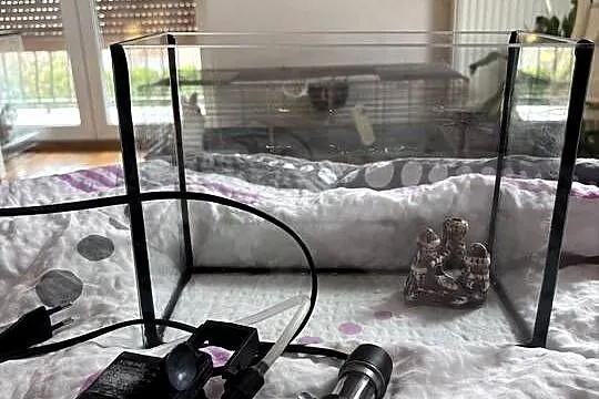 akwarium wraz z grzalka i filtrem, Wielkopolskie, Gniezno