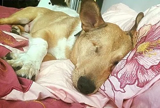 Młody energiczny chłopak,wszystko w życiu ma na op