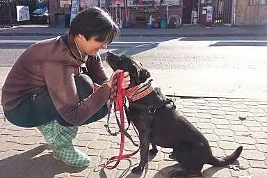 KAWA bardzo pilnie szuka rąk do głaskania!,  łódzk