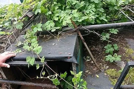 Bryczką, Podlaskie, Słomianka