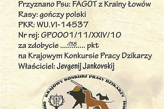 Gonczy Polski * Reproduktor* Fagot z Krainy Lowow