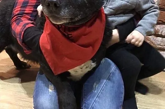 Wesoły Majki do adopcji