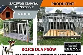 Kojec dla Psa 3x2 , Kojce | dla psa | OCYNK | - ESSTAL