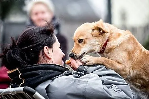 Kto pokocha słodką Balbinkę,  śląskie Racibórz