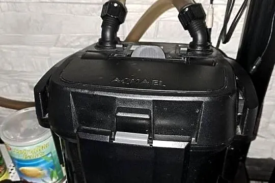 Akwarium 200l szczelne z wyposażeniem, Śląskie, Jastrząb