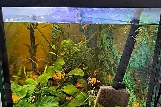 Akwarium 200l szczelne z wyposażeniem, Śląskie, Jastrząb