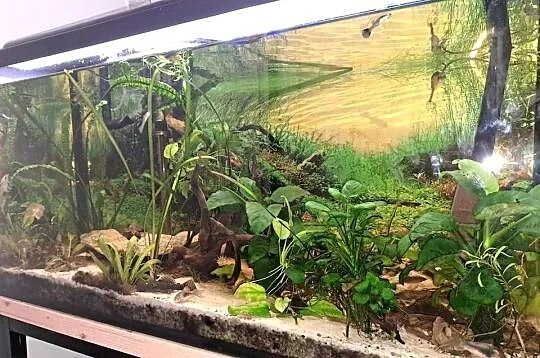 Akwarium 200l szczelne z wyposażeniem, Śląskie, Jastrząb