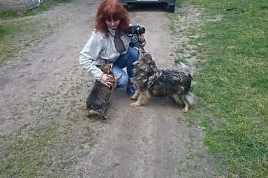 Bella wesoła suczka do adopcji,  mazowieckie Warsz