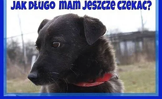 CHCE KOCHAĆ I BYĆ KOCHANYM!, mazowieckie Warszawa