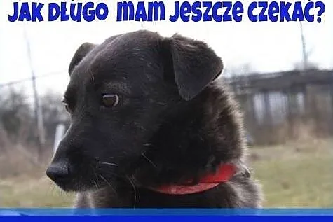 CHCE KOCHAĆ I BYĆ KOCHANYM!,  mazowieckie Warszawa