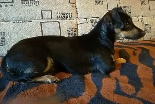 Ofiara wakacji , bardzo potrzebuje domku , ale tyl