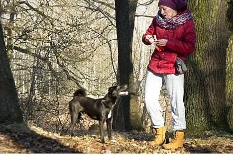 Luffy szuka domu!,  dolnośląskie Jelenia Góra