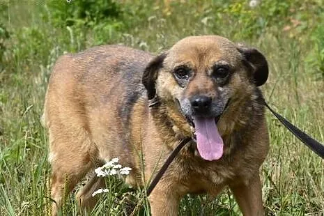 Kora poddała się, już nie wierzy że znaczy coś dla