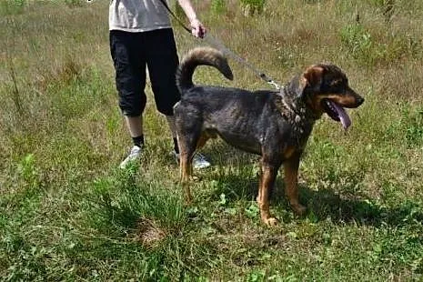 Hagrid już od 5 lat czeka za kratami :( Traci nadz