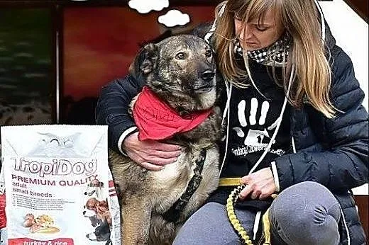 Nero, idealny pies rodzinny, towarzyszący, sportow