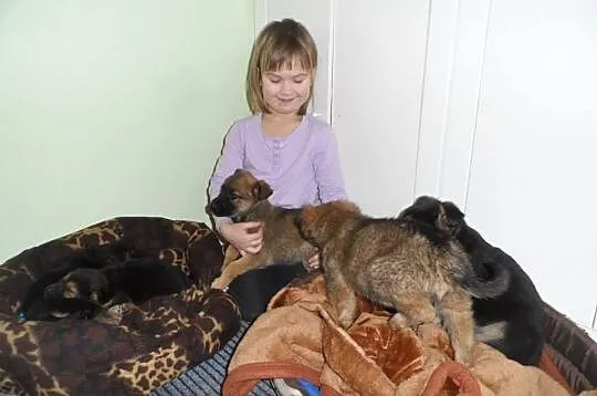Śliczne szczeniaki czekają na nowe domy ADOPCJA ŁT