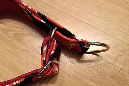Elagancka duża, szeroka półzaciskowa obroża dla bullterriera., Śląskie, Szczyrk