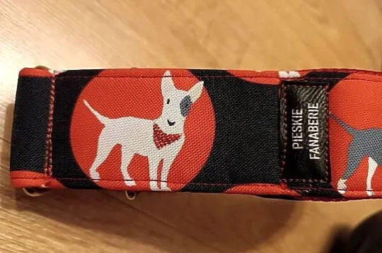 Elagancka duża, szeroka półzaciskowa obroża dla bullterriera., Śląskie, Szczyrk