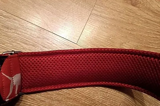 Elagancka duża, szeroka półzaciskowa obroża dla bullterriera., Śląskie, Szczyrk
