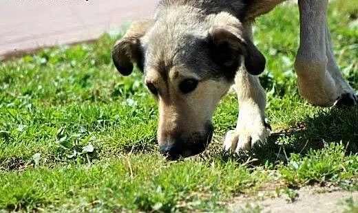 Cent- podniosę jakoś Twojego życia - oddam serdusz